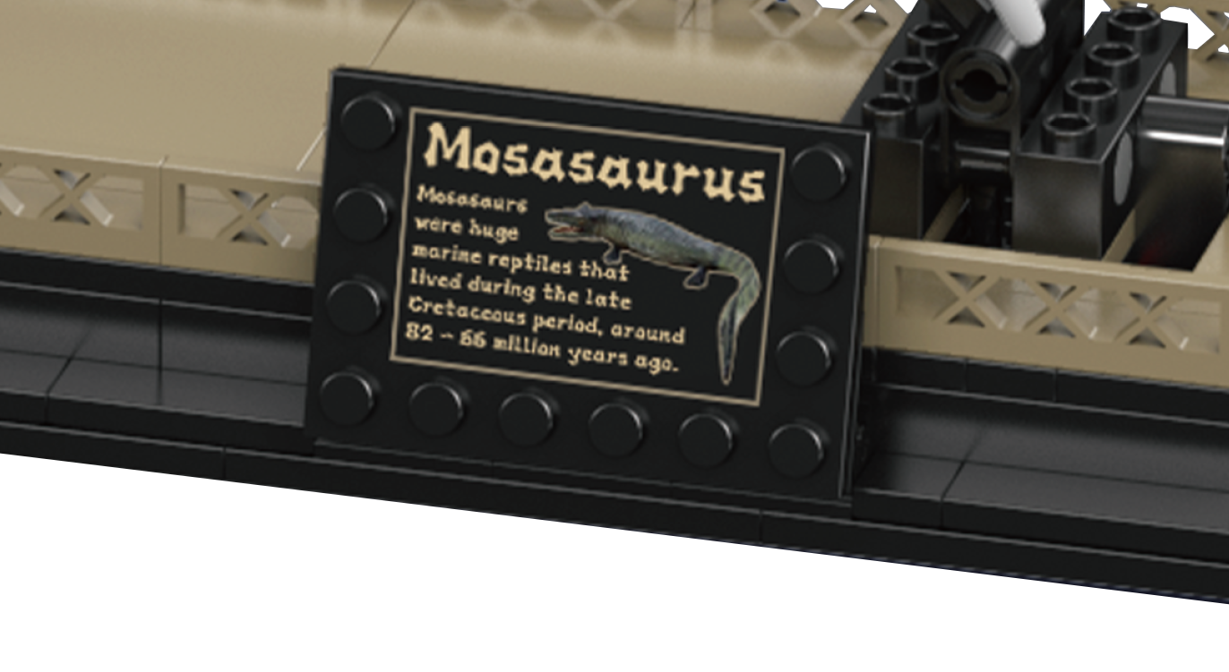 Mosasaurus & Velociraptor Fossil Display