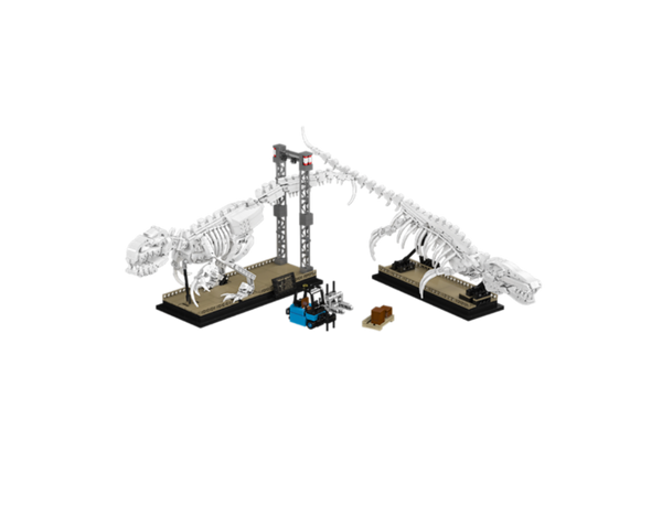 Jurassic Fossils