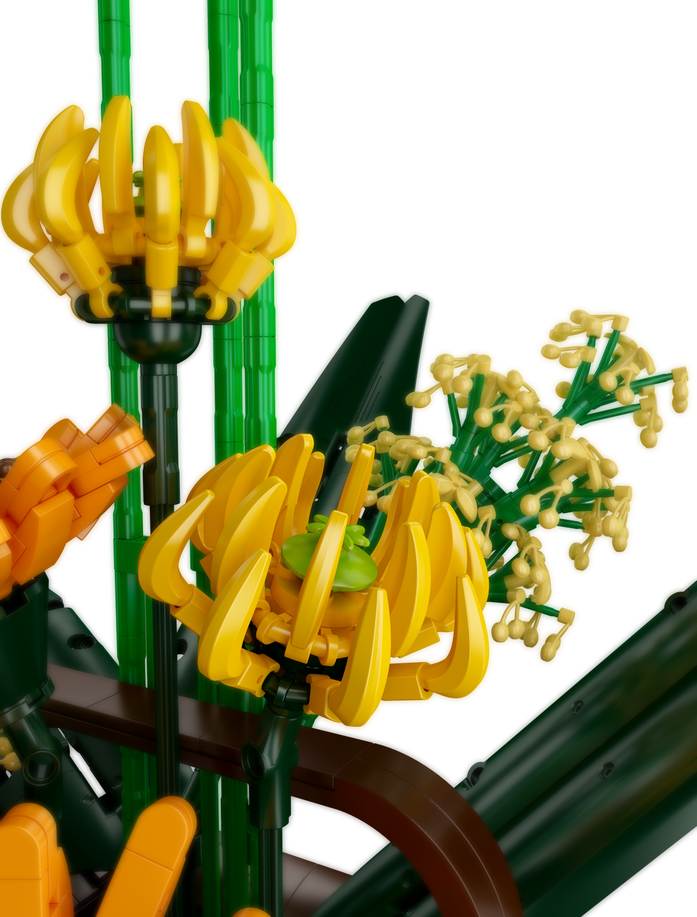 Birds of Paradise Flower Bouquet
