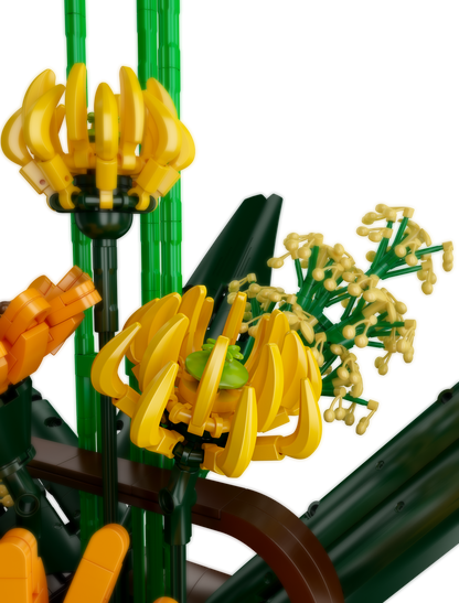 Birds of Paradise Flower Bouquet