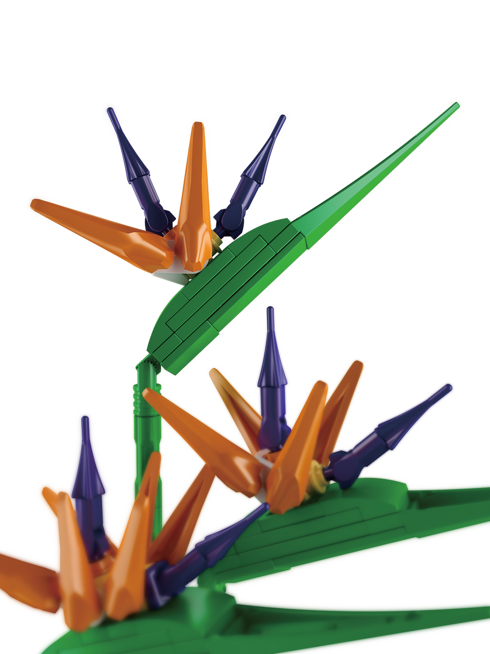 Birds of Paradise Flower Bouquet