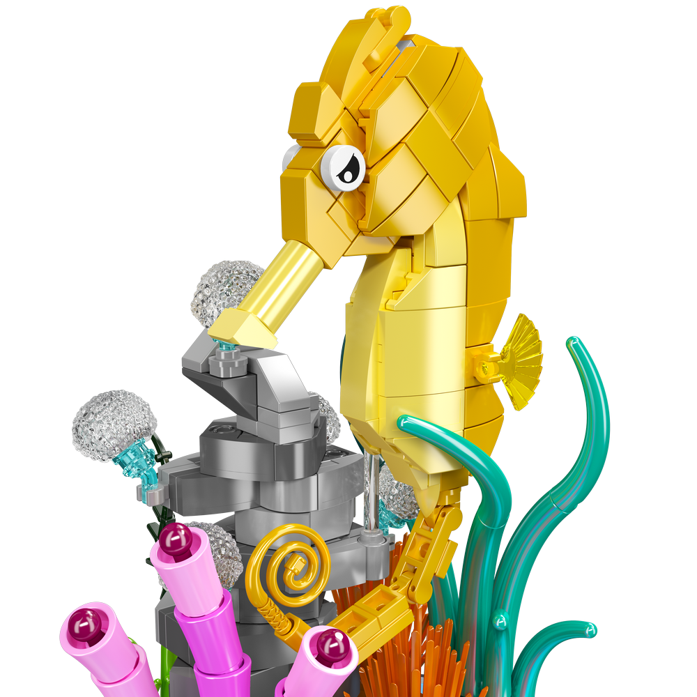 Seahorse Music Box