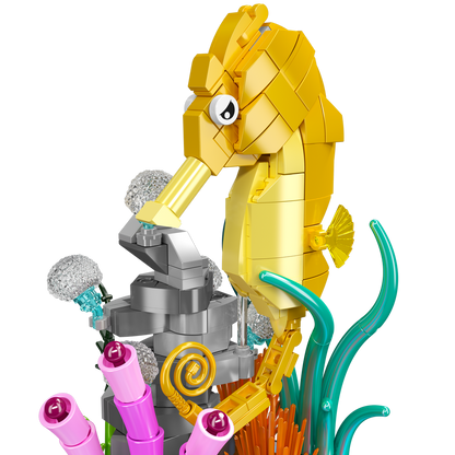 Seahorse Music Box