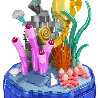 Seahorse Music Box