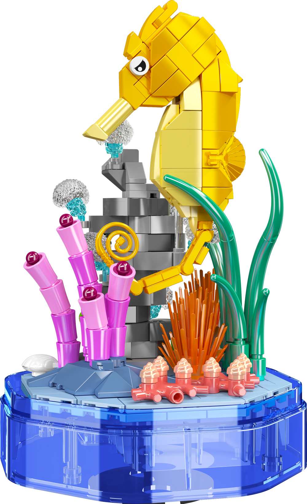 Seahorse Music Box