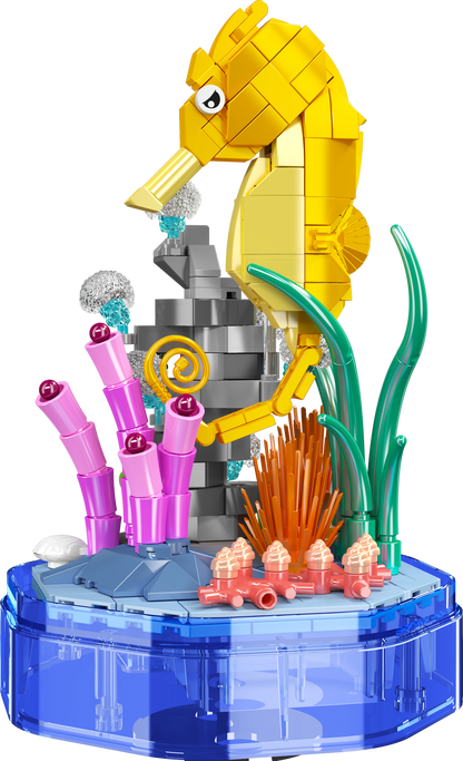 Seahorse Music Box