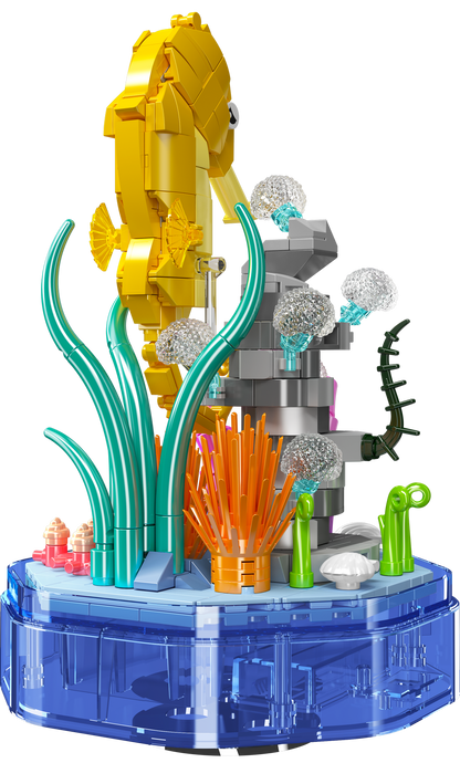 Seahorse Music Box