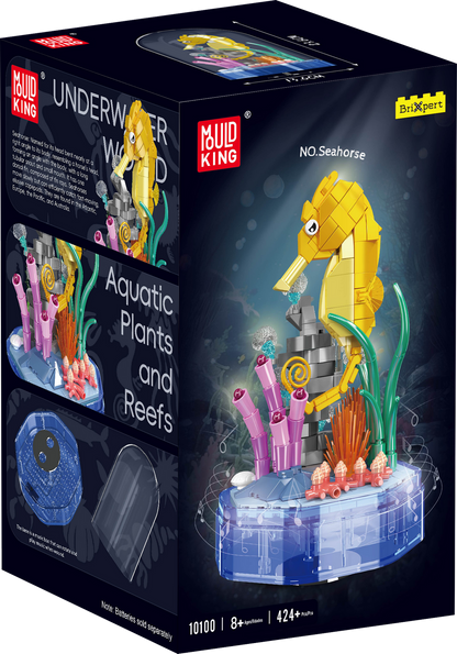 Seahorse Music Box
