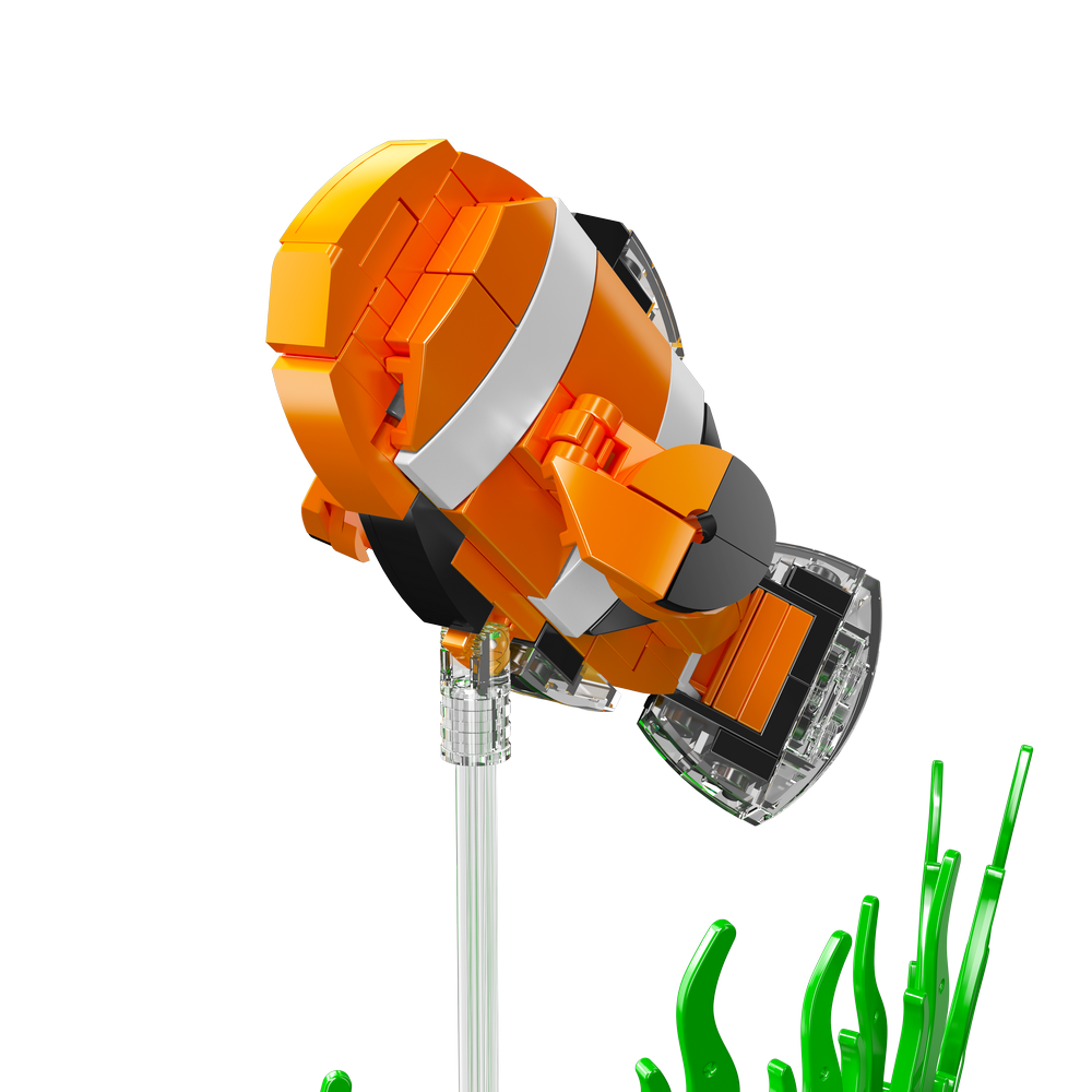 Clownfish Music Box