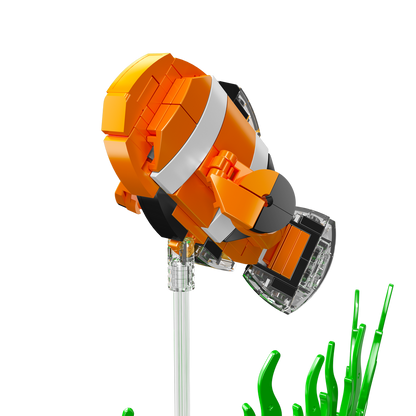 Clownfish Music Box