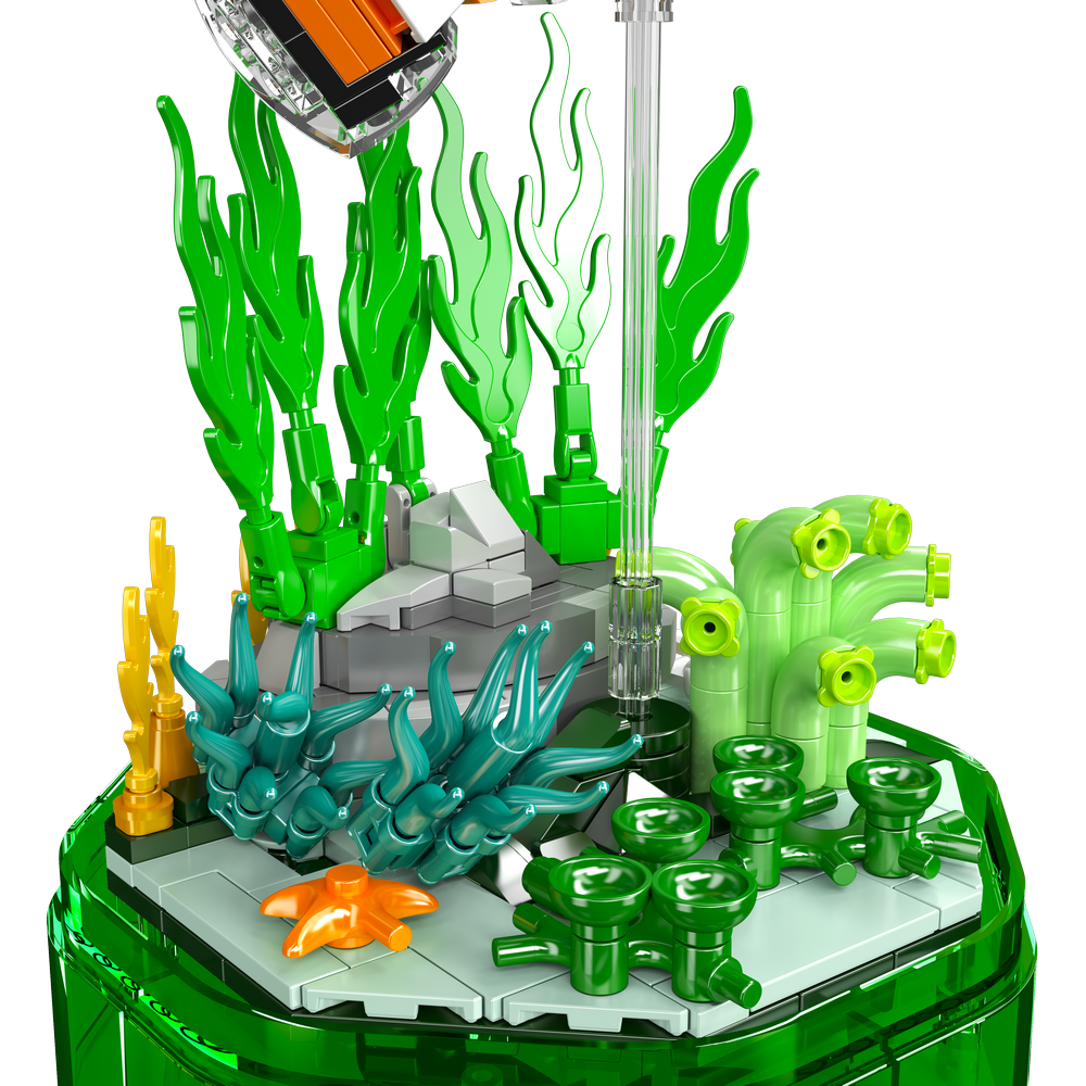 Clownfish Music Box
