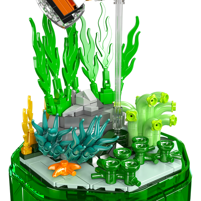 Clownfish Music Box