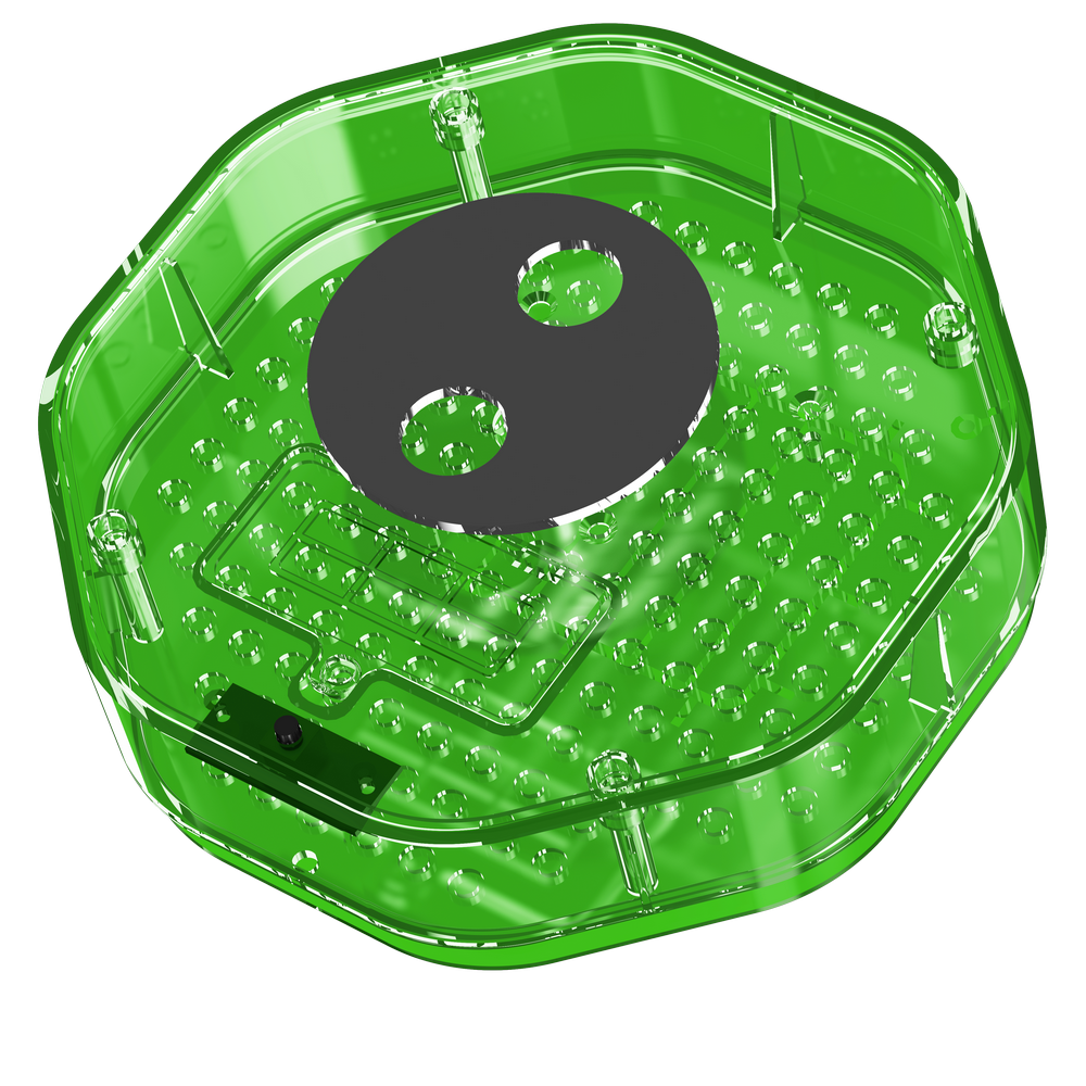 Clownfish Music Box