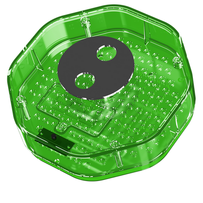 Clownfish Music Box