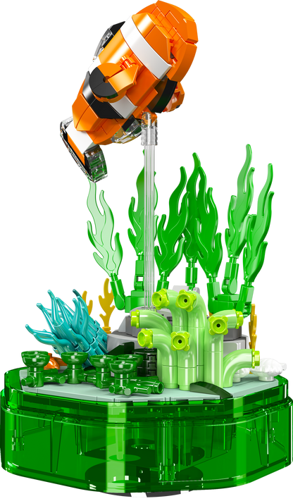 Clownfish Music Box