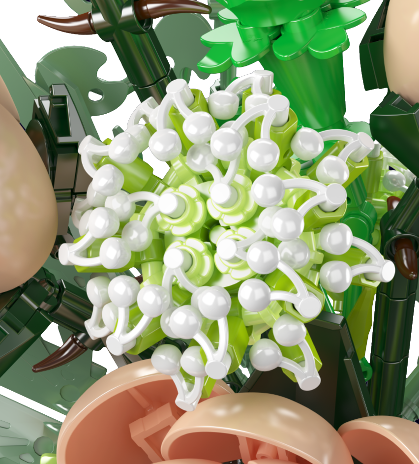 White Rose Flower Bouquet