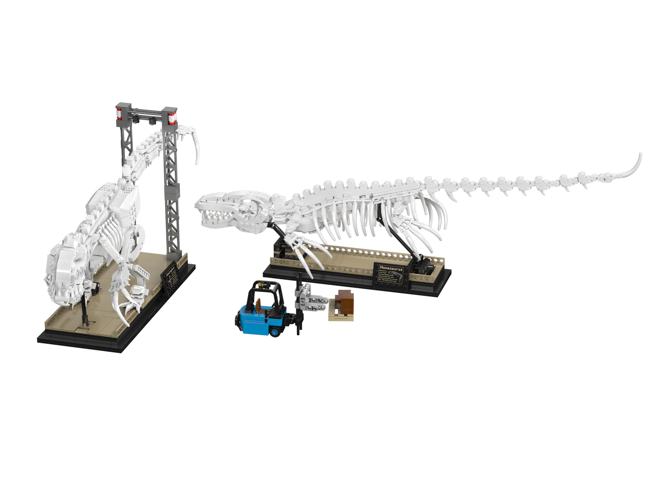 Mosasaurus & Velociraptor Fossil Display