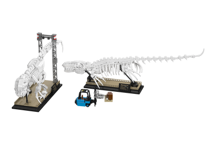 Mosasaurus & Velociraptor Fossil Display