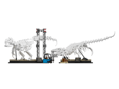Mosasaurus & Velociraptor Fossil Display