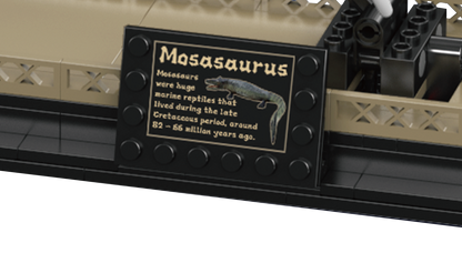 Mosasaurus & Velociraptor Fossil Display