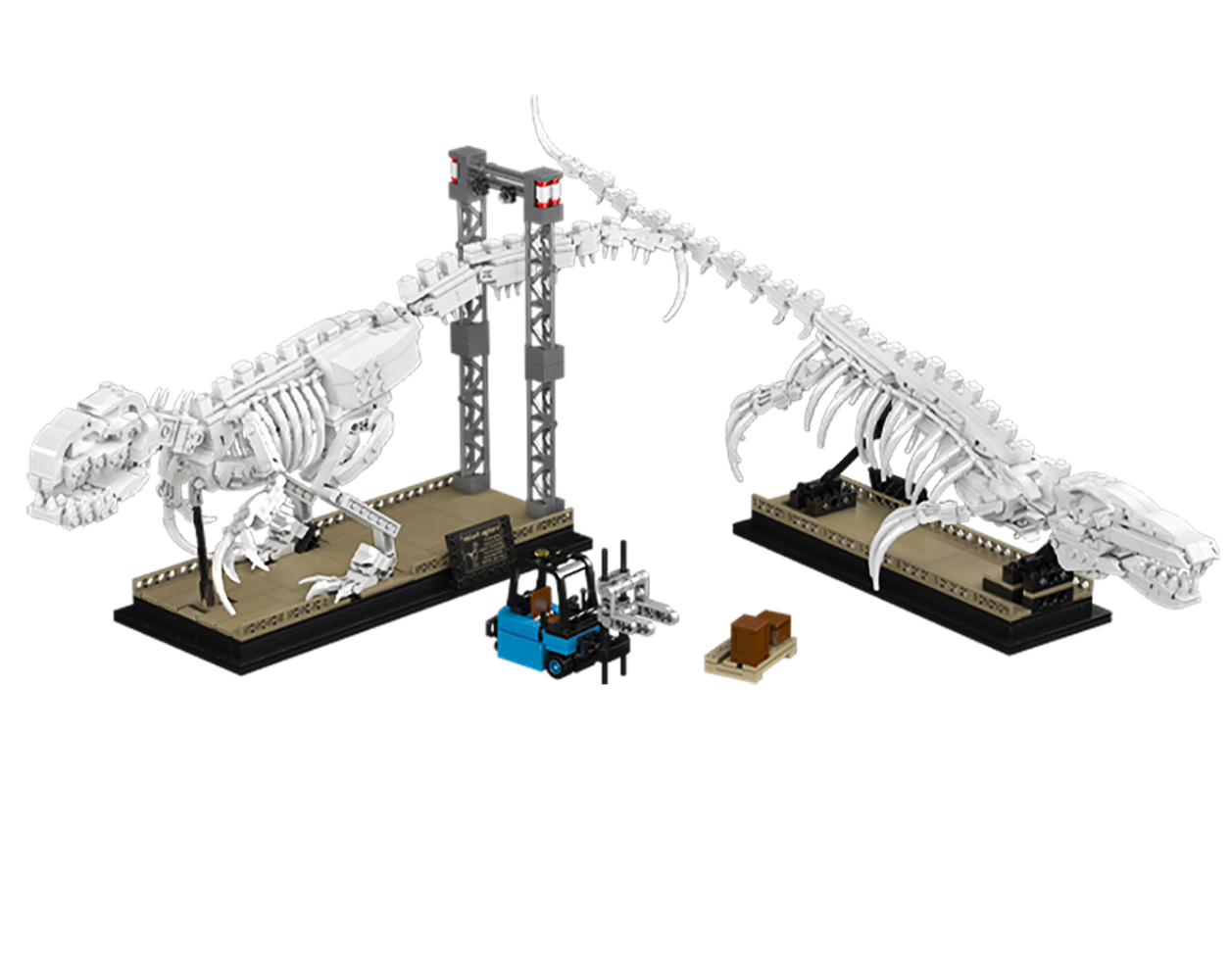 Mosasaurus & Velociraptor Fossil Display