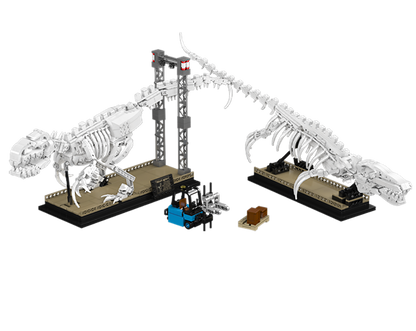 Mosasaurus & Velociraptor Fossil Display