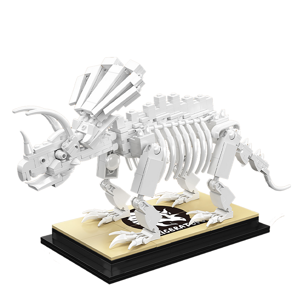 Triceratops Dinosaur Fossil