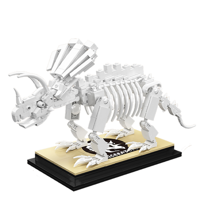 Triceratops Dinosaur Fossil