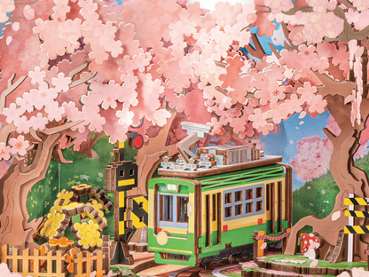 Sakura Dreamy Tour