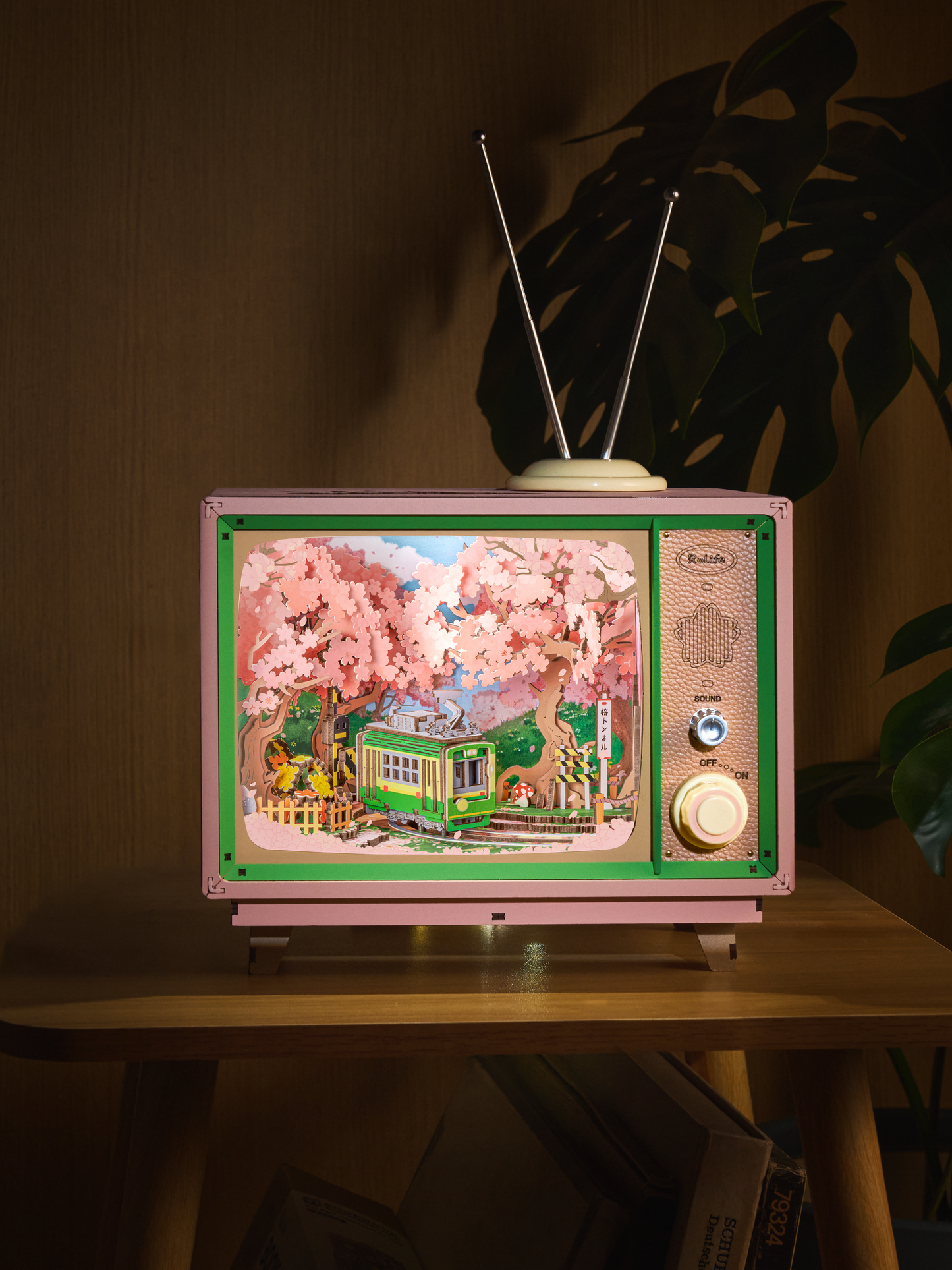 Sakura Dreamy Tour