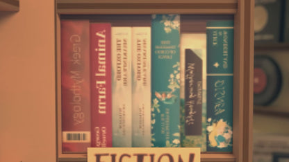 Bookstore Book Nook